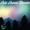 Auto Aurora Borealis Feminized Seeds