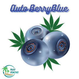 Auto BerryBlue Feminized Seeds